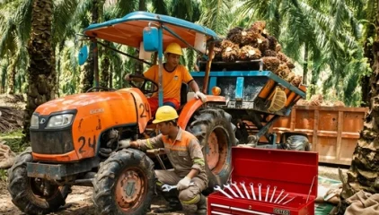 Panduan Pengadaan Perkakas Tangan Heavy-Duty untuk Pemeliharaan Pabrik Kelapa Sawit (Palm Oil Mill)